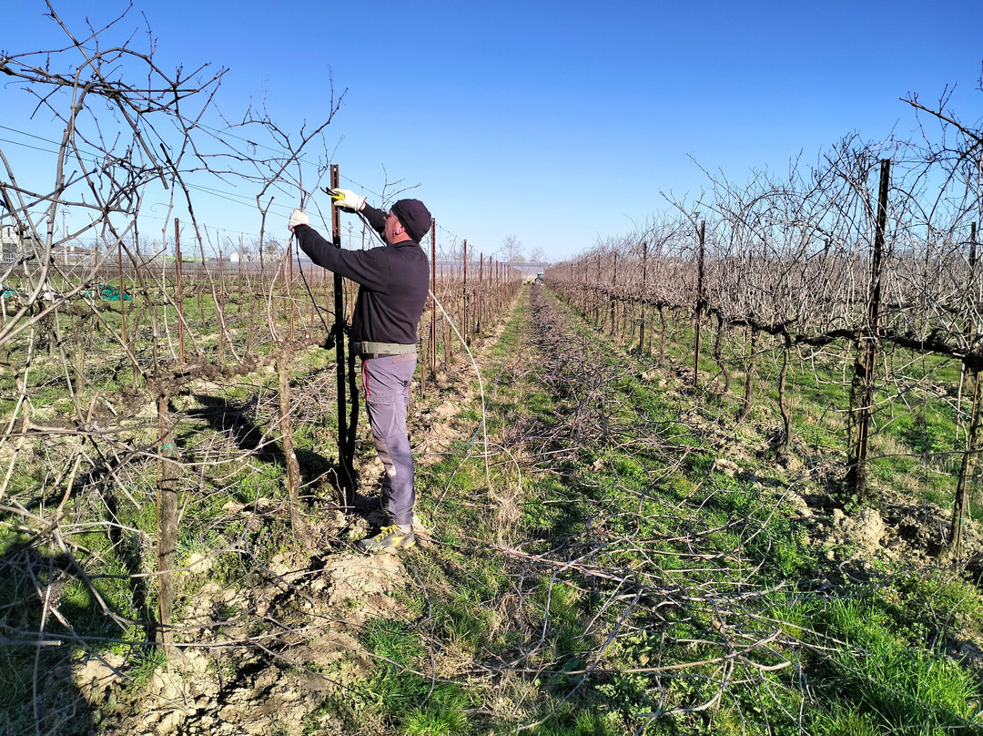 Case Michieletto酒店住宿-Bed & Breakfast Barone Rosso