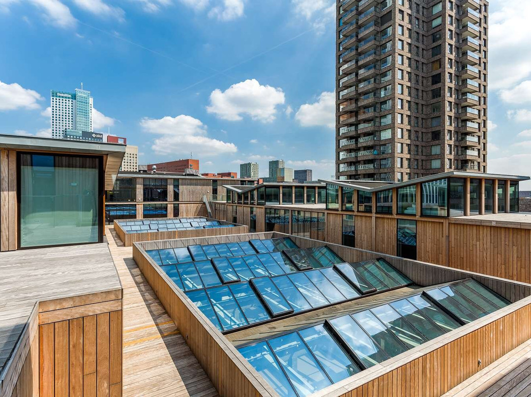 Room Mate Bruno主图