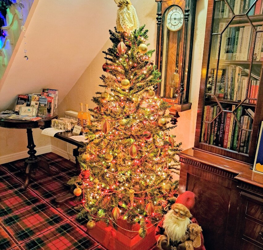 Orchard Lodge Accommodation主图