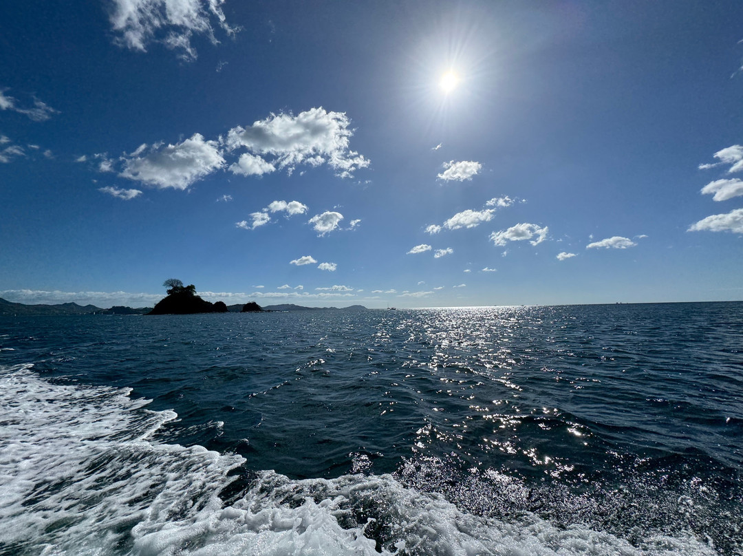 Life is Better at Sea-Playa Flamingo必去景点