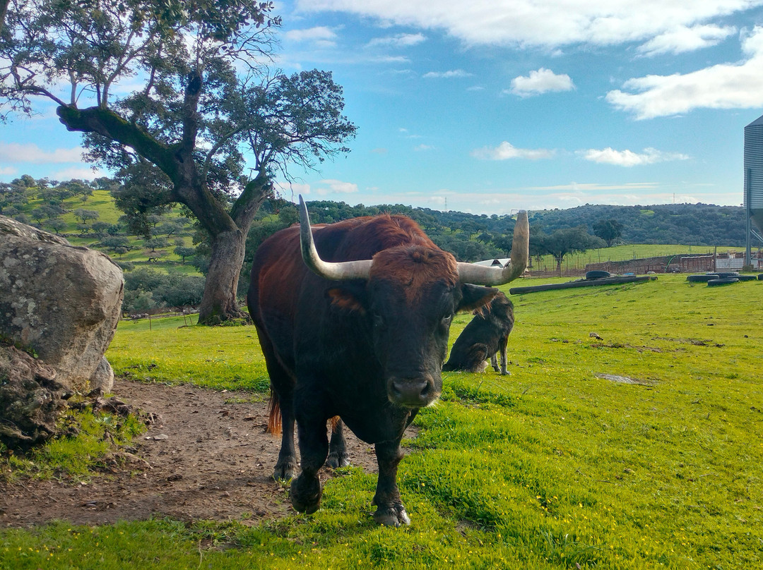 Ganadería Virgen María-吉列纳必去景点