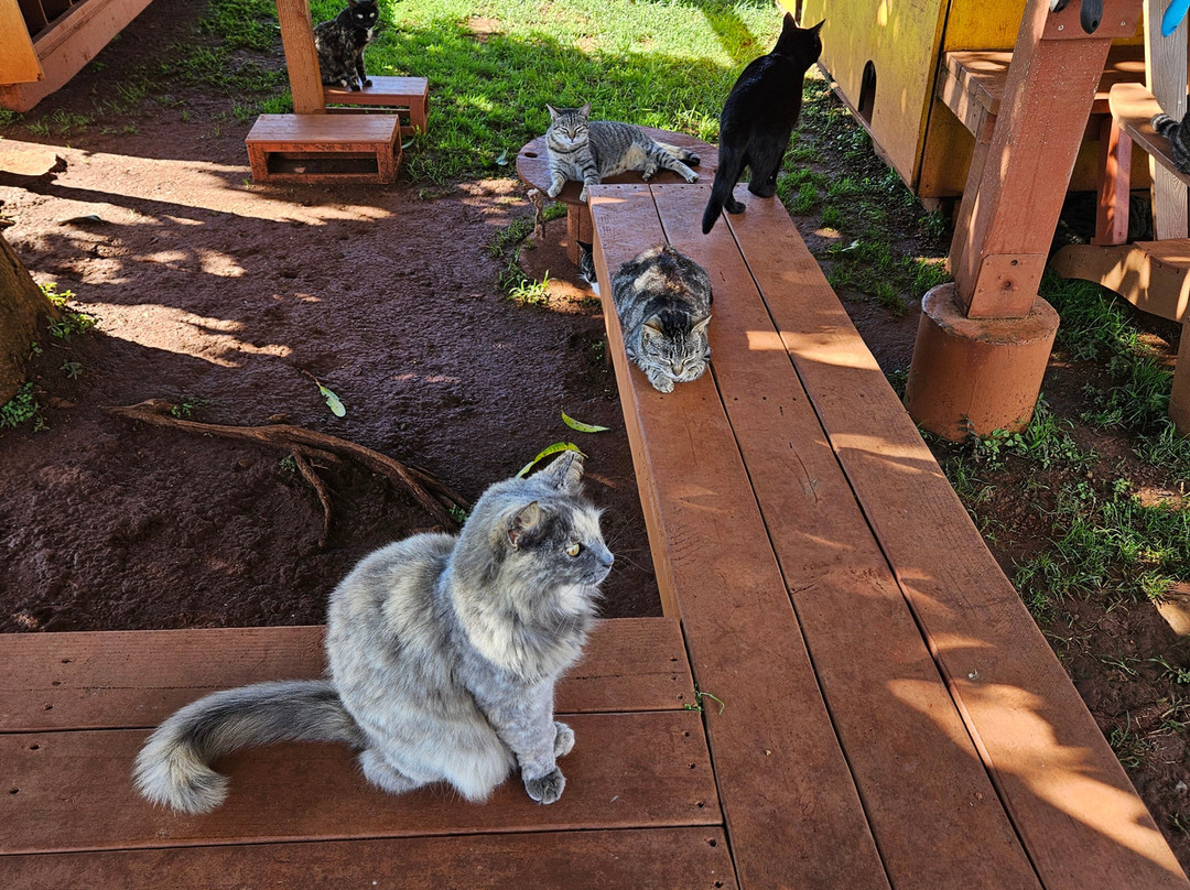 拉奈动物救援中心-拉奈市必去景点