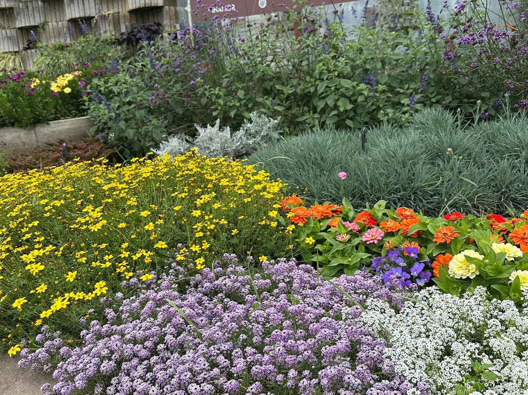 Floricultura Úrsula-Nova Petropolis必去景点