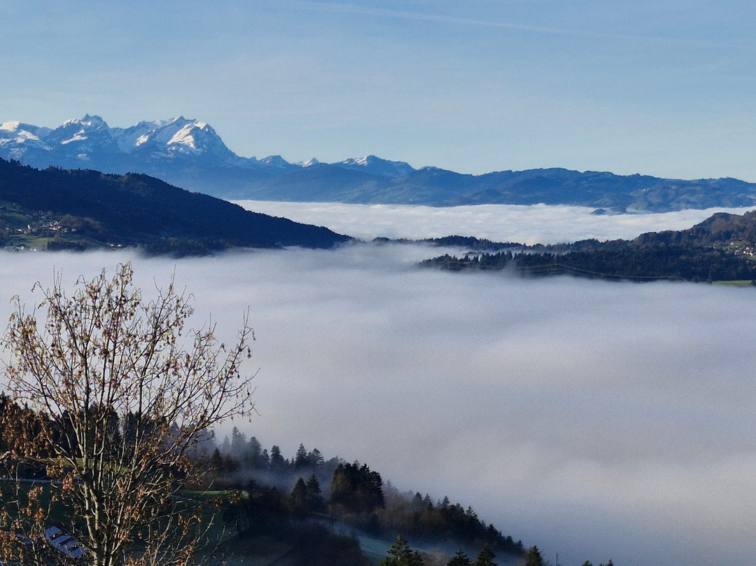 Wellnesshotel Linde主图