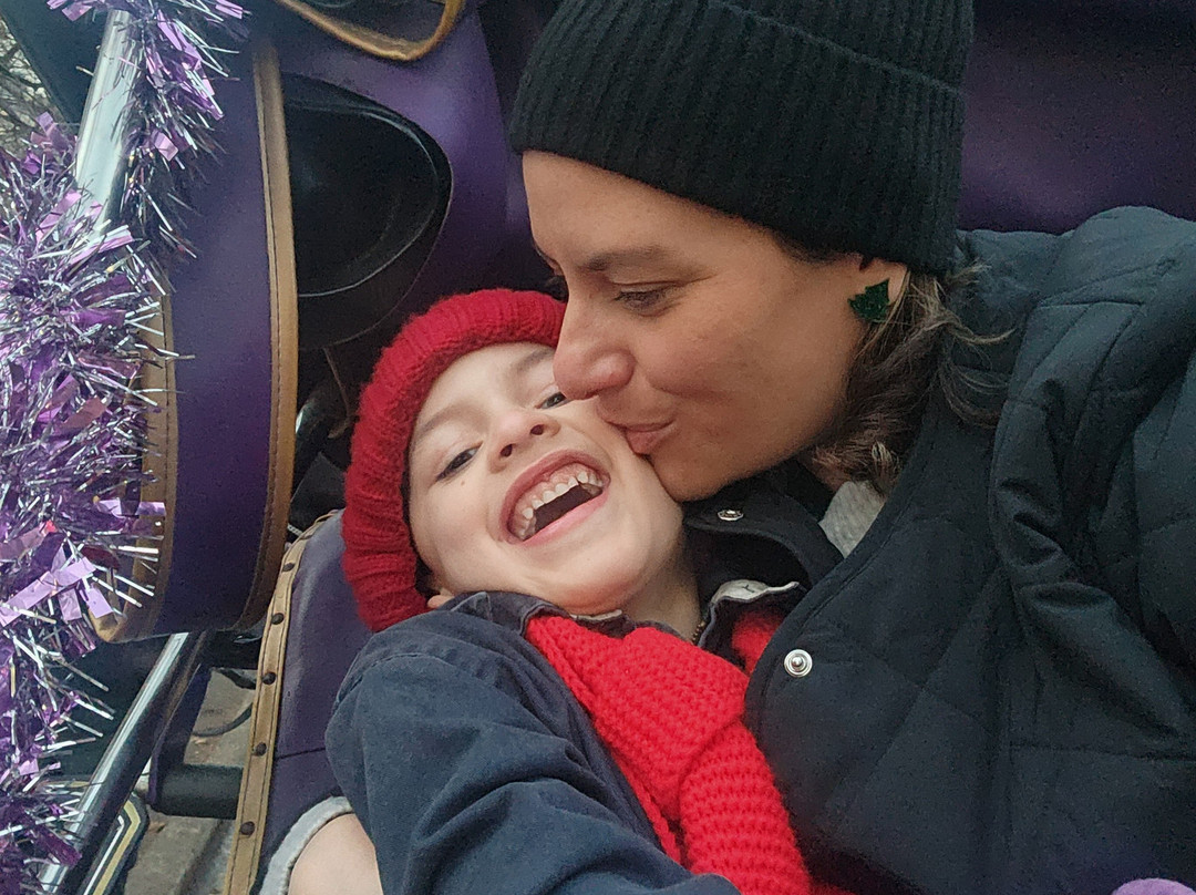 VIP Central Park tours-纽约市必去景点