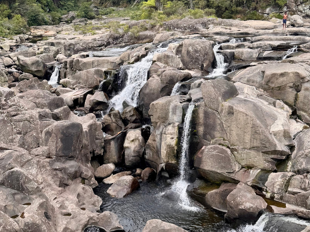 Adventure and Cultural Tours Bay of Plenty-陶兰加必去景点