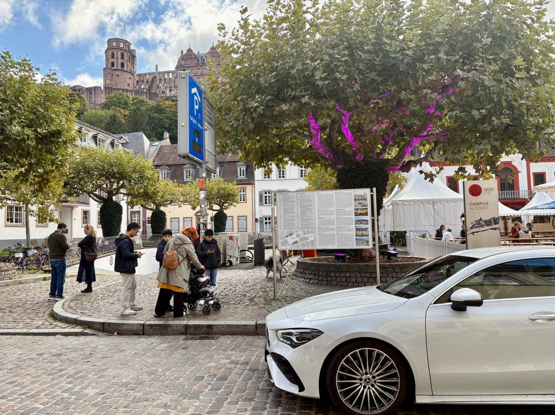 Carl's Square (Karlsplatz)-海德尔堡必去景点