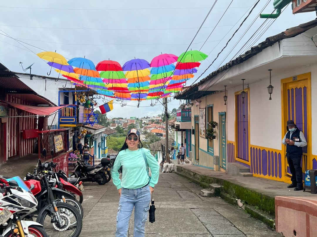 Magic Tours del Café-亚美尼亚必去景点