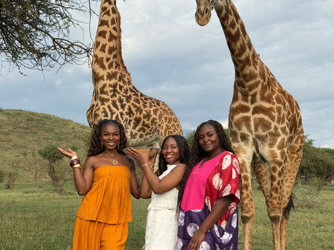 Kolekole Zanzibar Tour And Safaris-Unguja City必去景点