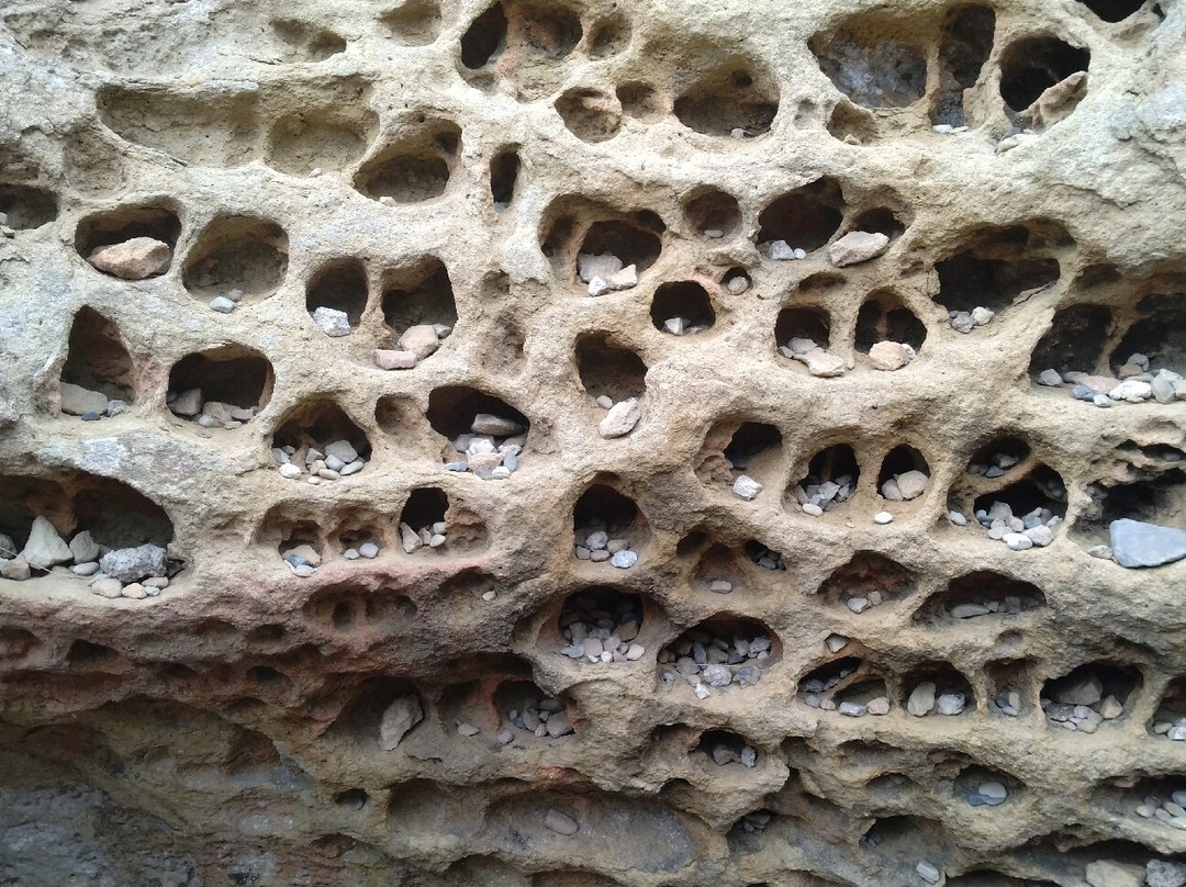 Mushikui-iwa-古座川町必去景点