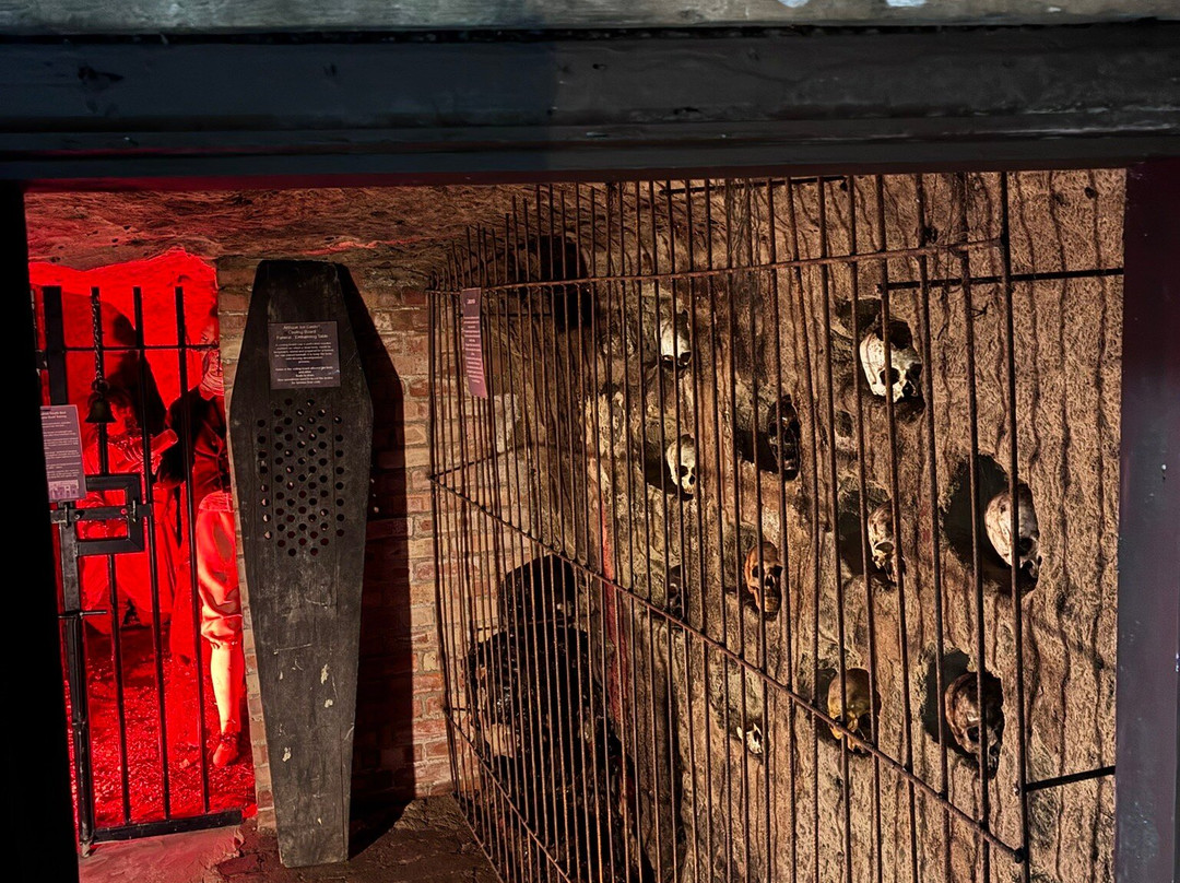 The Museum Of Curiosities-诺丁汉必去景点