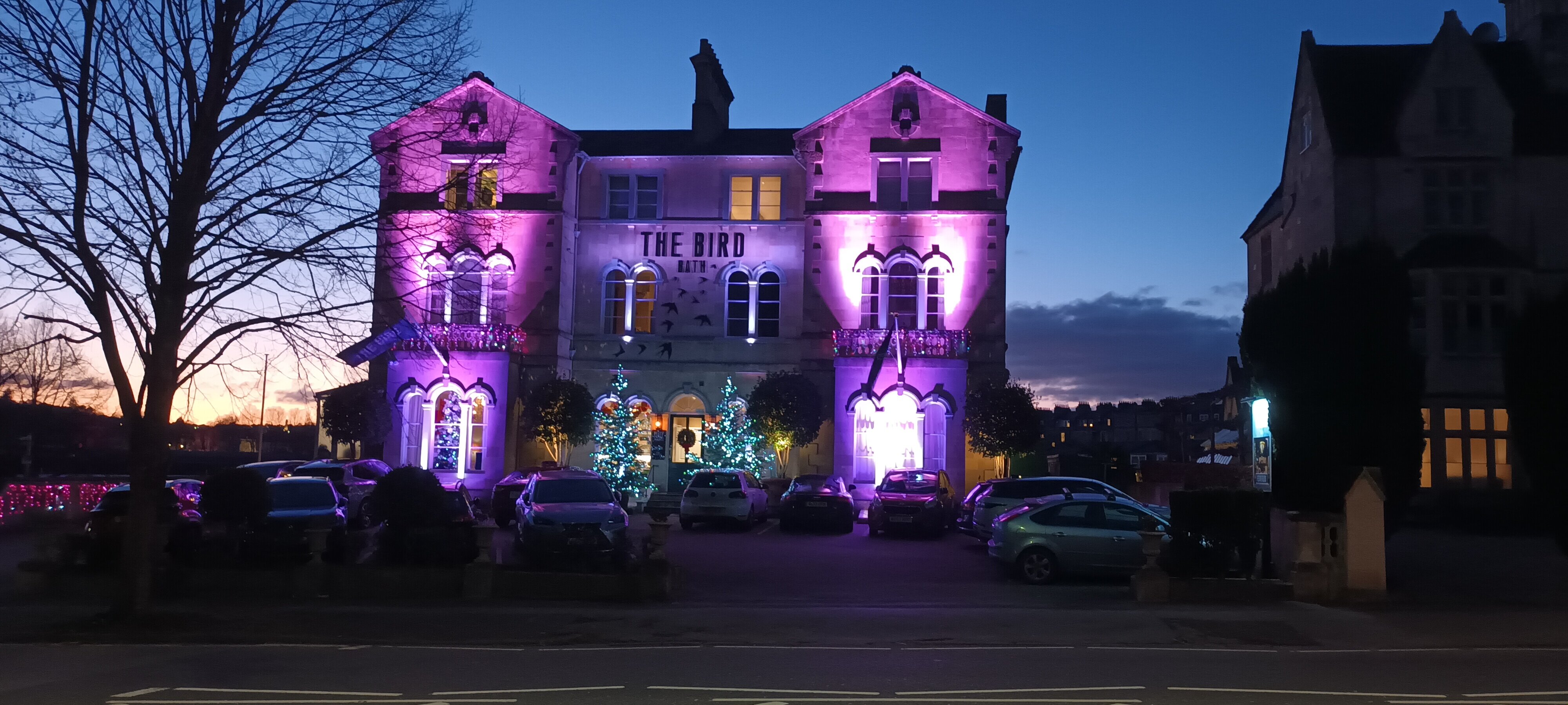 The Bird, Bath-浴室