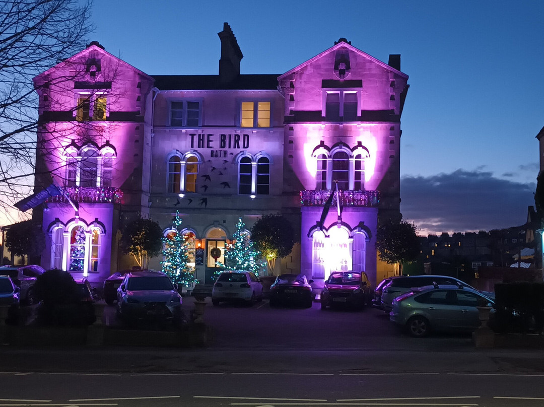 The Bird, Bath主图