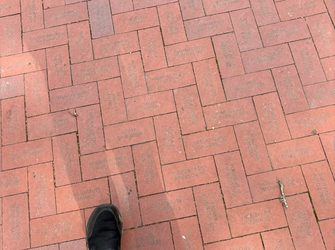 Mike the Tiger's Habitat-巴吞鲁日必去景点