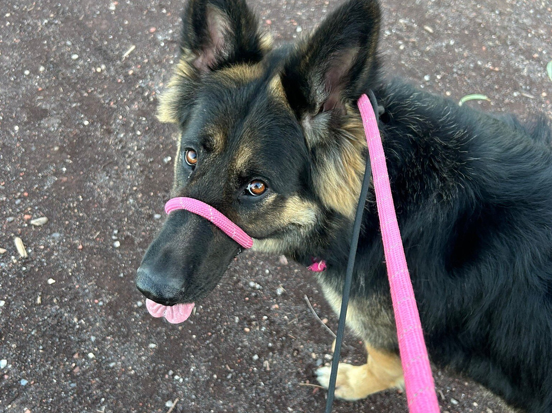 The 100 Steps of Federation-阿尔托纳必去景点