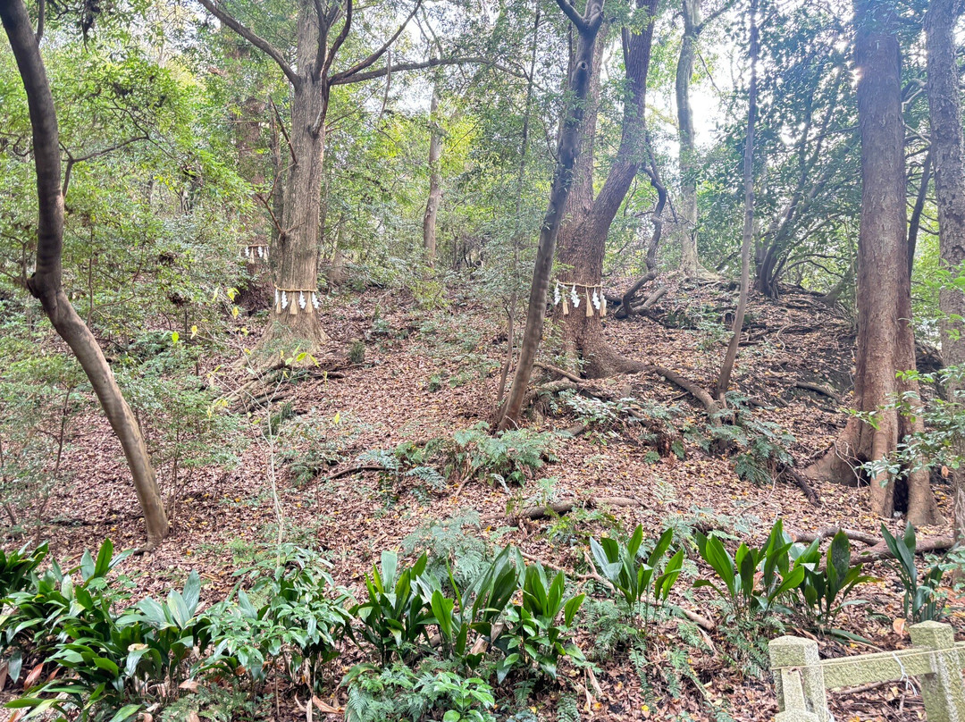 Hiraoka Shrine-东大阪市必去景点