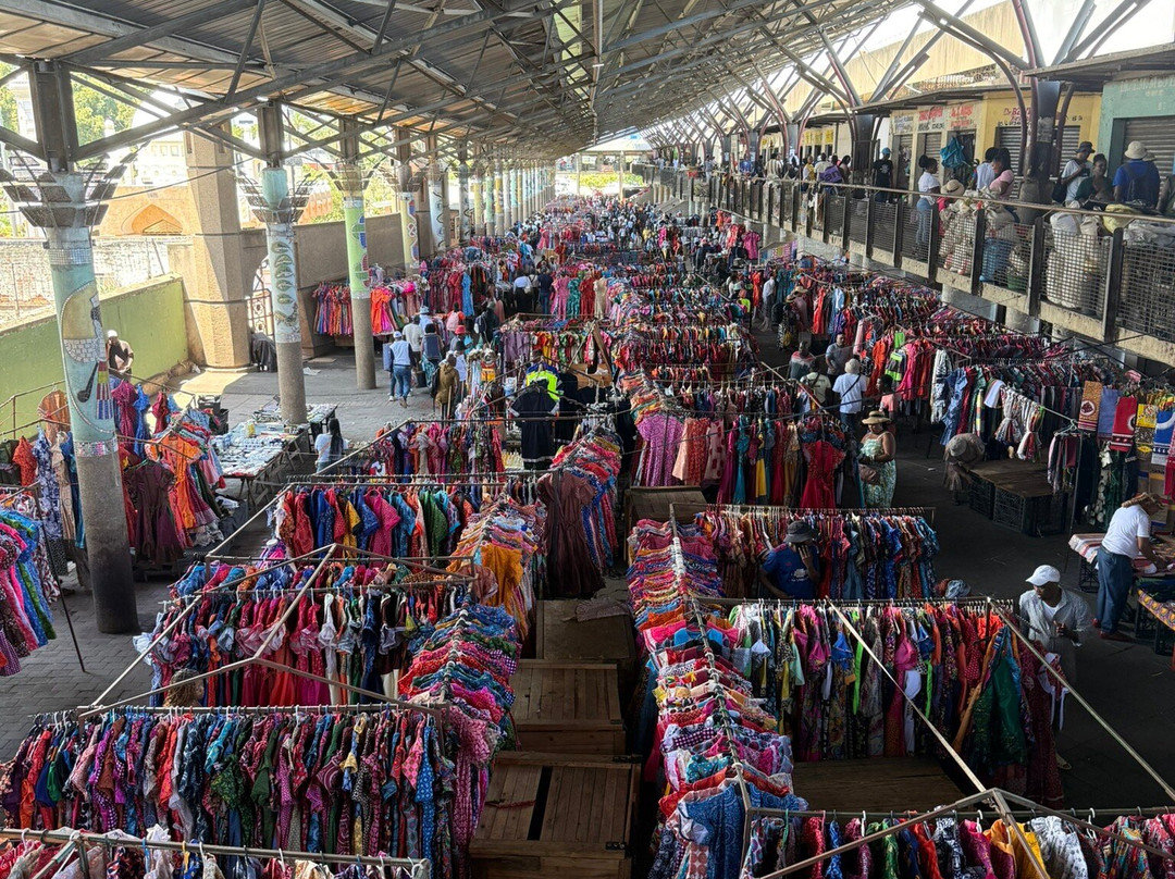 Travel Bug Tours & Safaris-德班必去景点