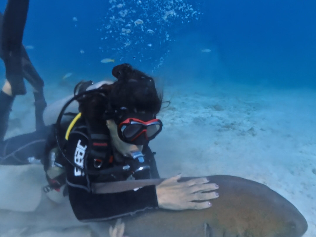 Captain Slate's SCUBA Adventures-Tavernier必去景点