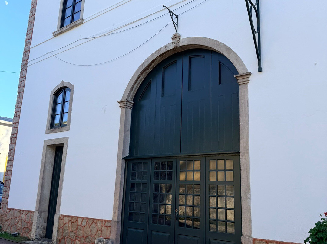 Adega Regional de Colares-科拉雷斯必去景点