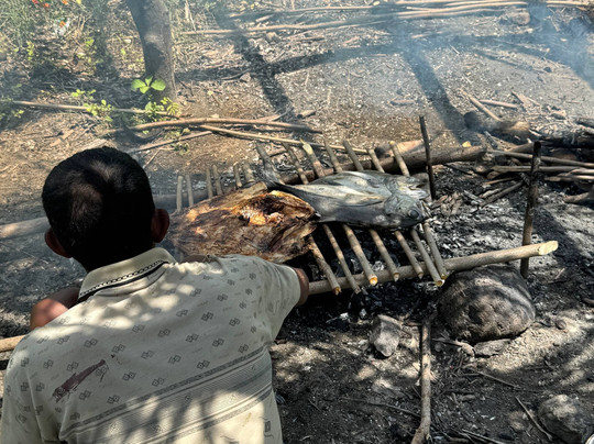 Riung boat trip organizer-Riung必去景点