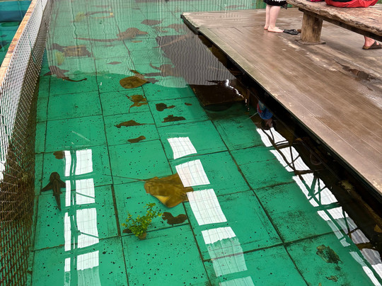 Port Stephens Animal Adventures-Bobs Farm必去景点