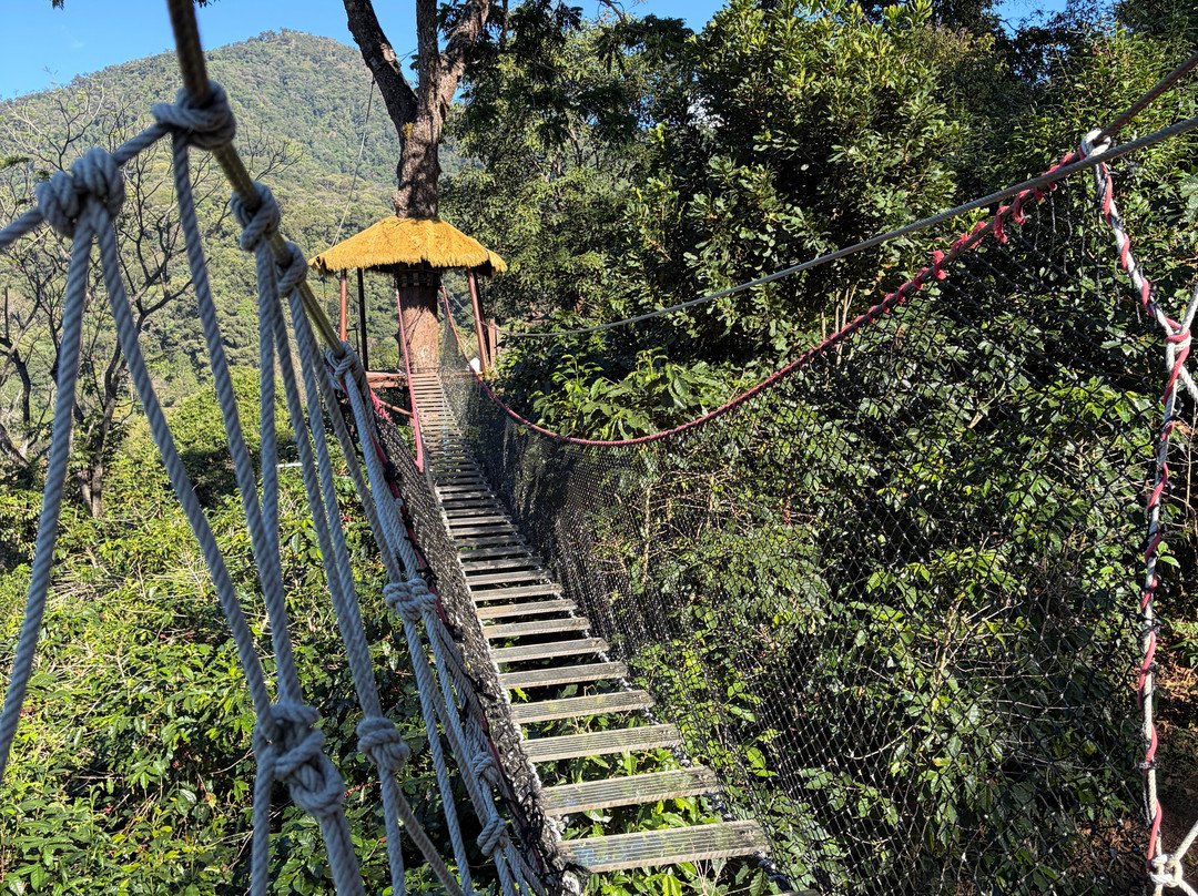 King Kong Smile Zipline-雷沙革必去景点