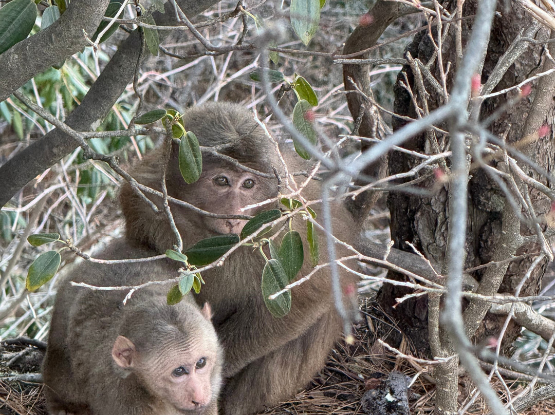 China Highlights-黄山市必去景点