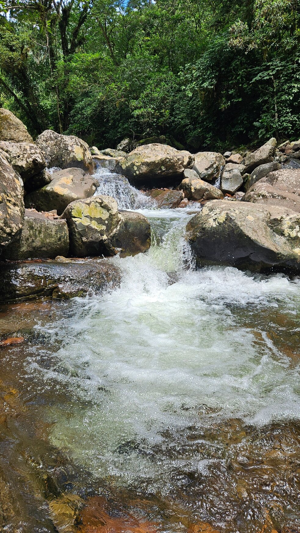 Costão da Fortaleza Lodge-官方