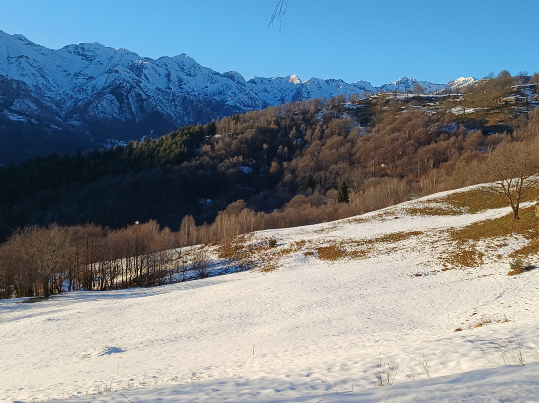 Strada Statale 232 Panoramica Zegna-Trivero必去景点