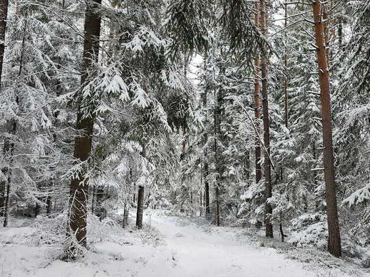 Pension Heindlhof主图