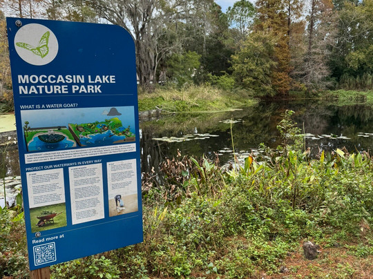 Moccasin Lake Nature Park-克利尔沃特必去景点