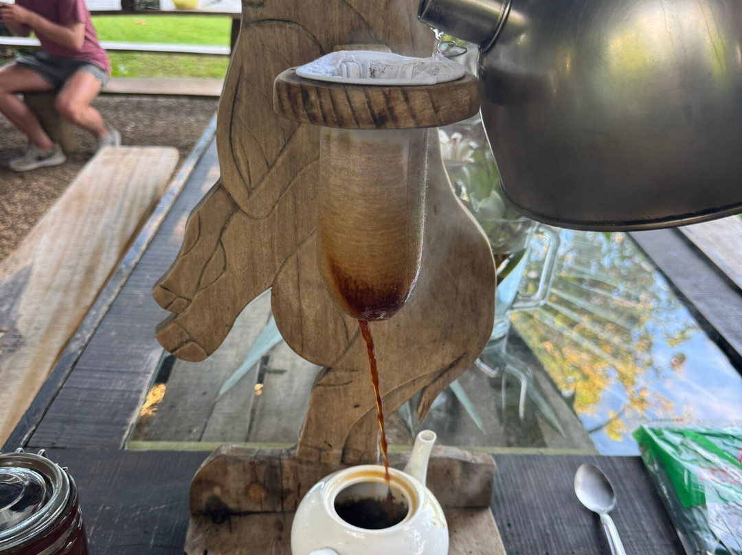 Selva Connections-希门尼斯港必去景点