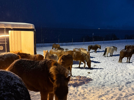 Tromsø Lyngshest-特罗姆瑟必去景点