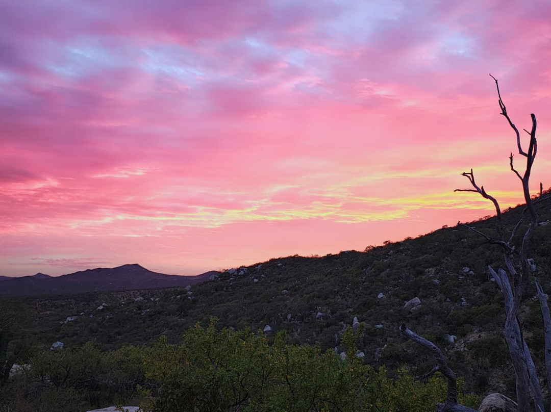 Rancho Cacachilas-El Sargento必去景点