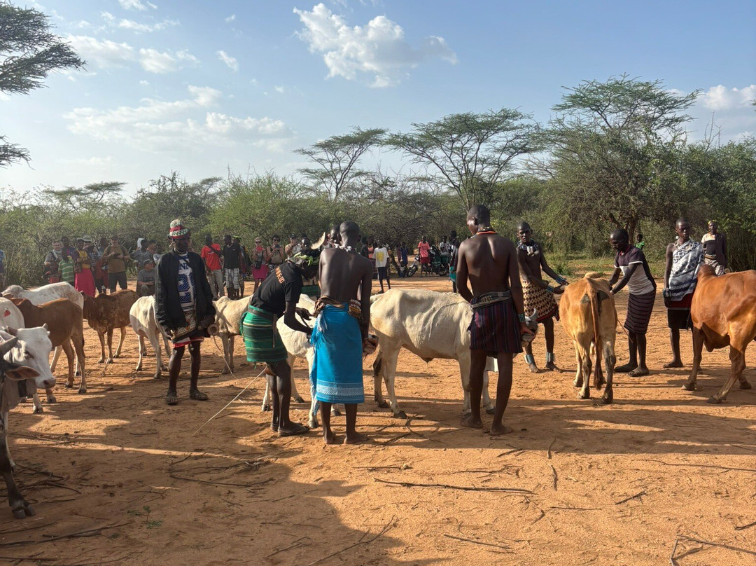 Tolerance Ethiopia Tours-Turmi必去景点