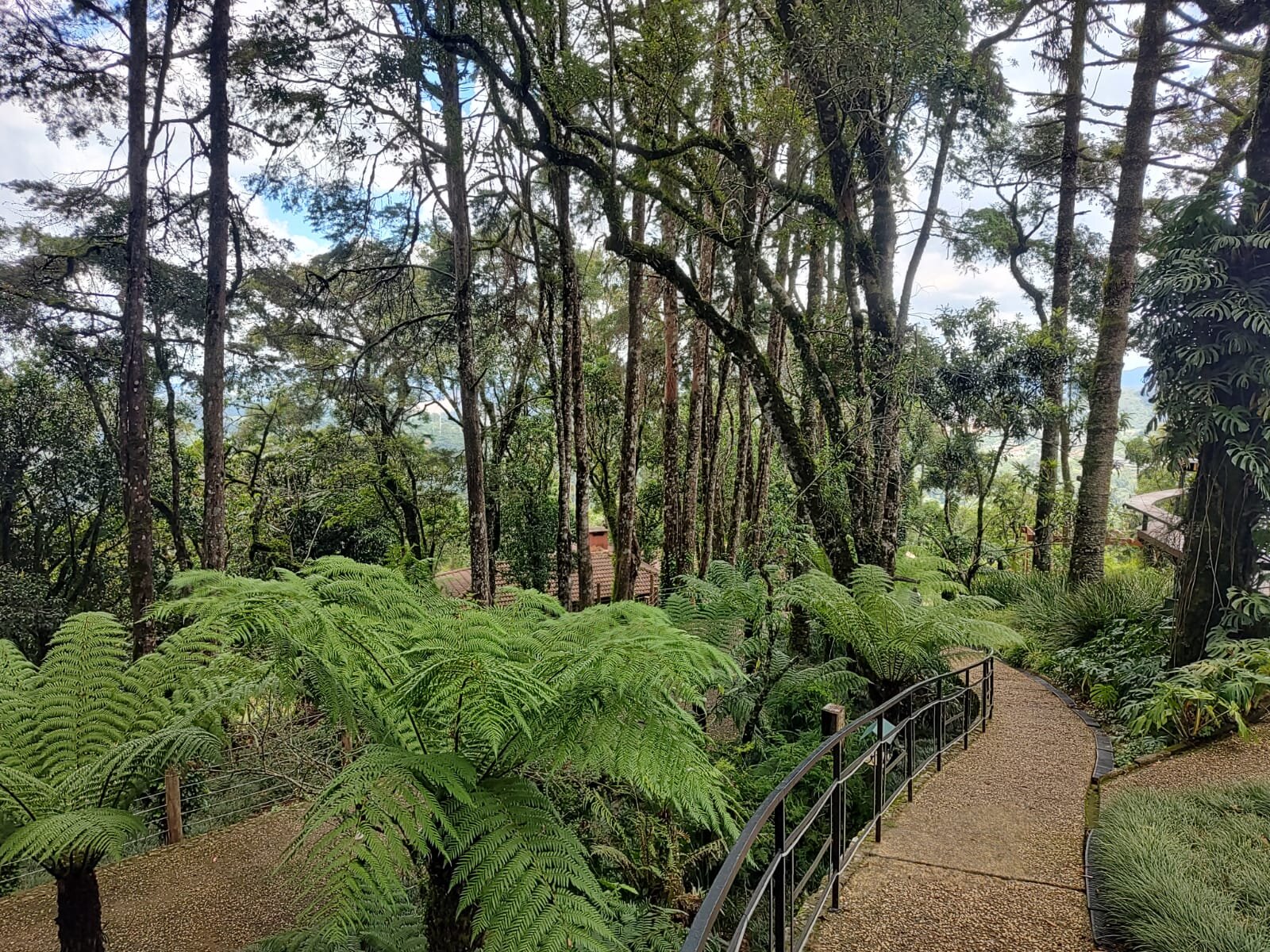 Kuriuwa Hotel-官方