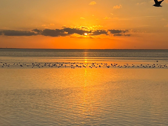 Laguna Madre Nature Trail-南帕诸岛必去景点