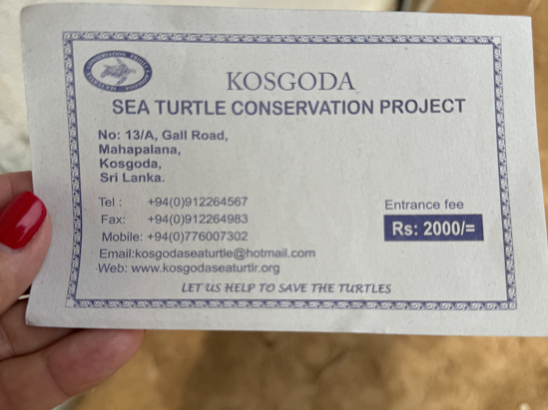 KOSGODA Turtle Conservation and Research Centre-科斯戈德必去景点