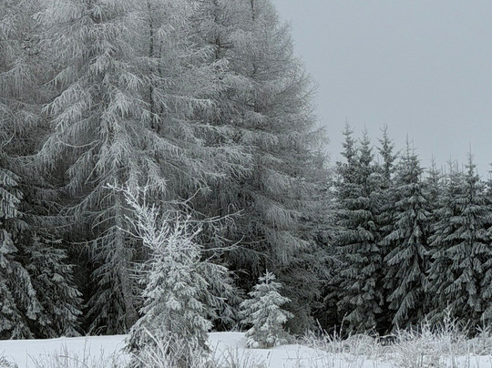 Pension & Fewo´s Talblick主图