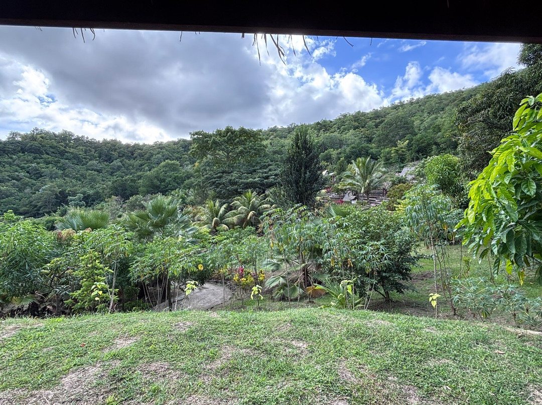 La Savane des Esclaves-Trois-Ilets必去景点