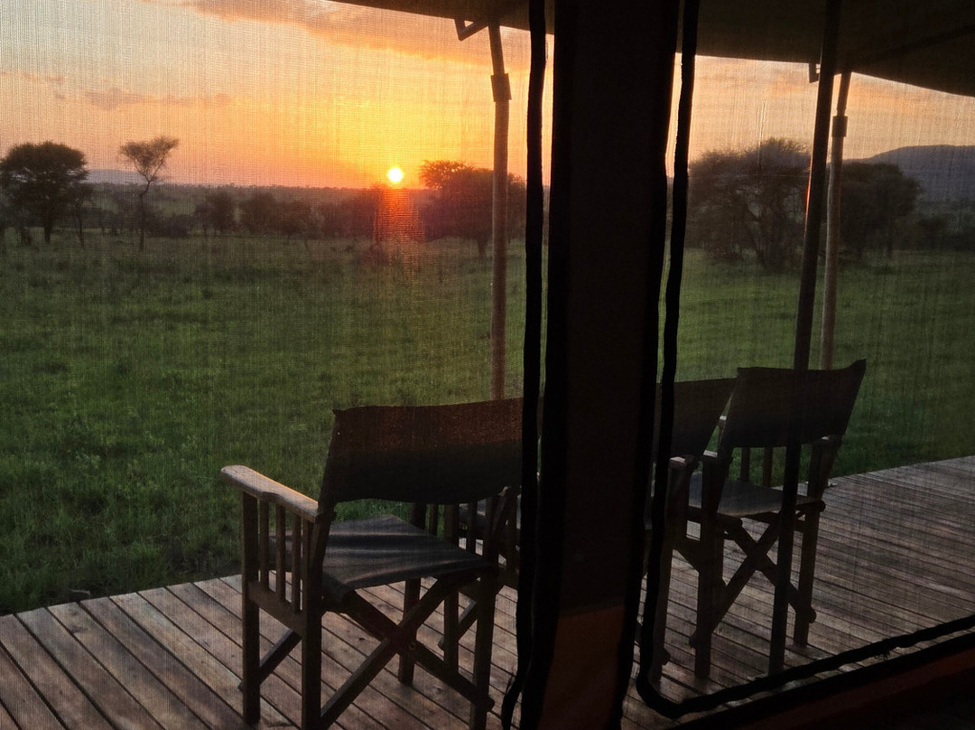 Abroad to Tanzania Safaris Ltd-Usa River必去景点