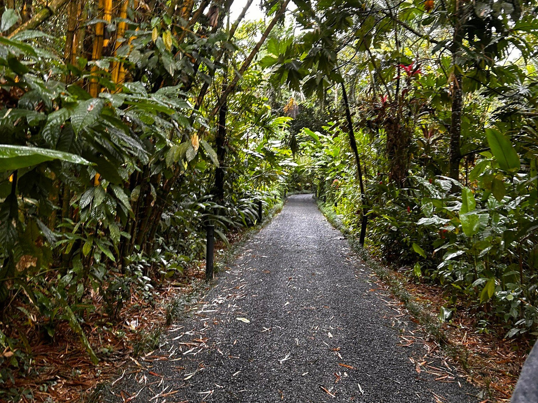 Pacific Trade Winds-Nuevo Arenal必去景点
