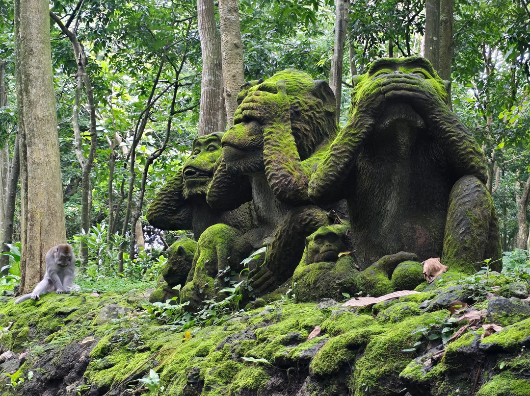 Bali Good Vacation-长谷必去景点