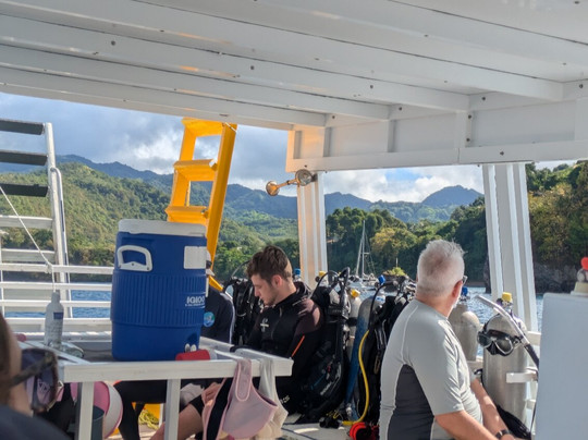 Eco Dive-St. George's必去景点