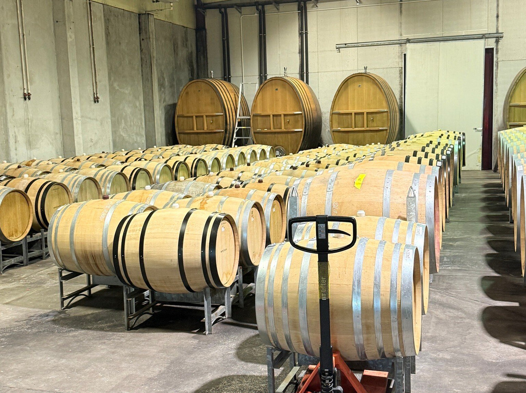 Trinity Hill Wines-黑斯廷斯必去景点