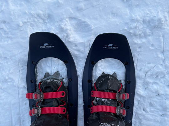 FjordSafari-弗洛姆必去景点