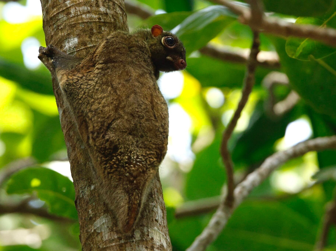 Ujung Kulon Trek-Carita必去景点