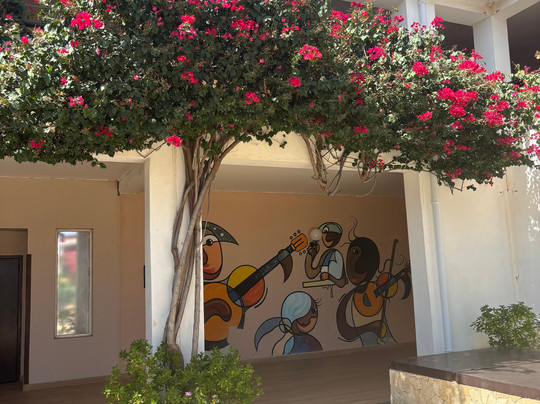 Pestana Tropico主图