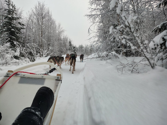 Aavasaksa Adventures-Ylitornio必去景点