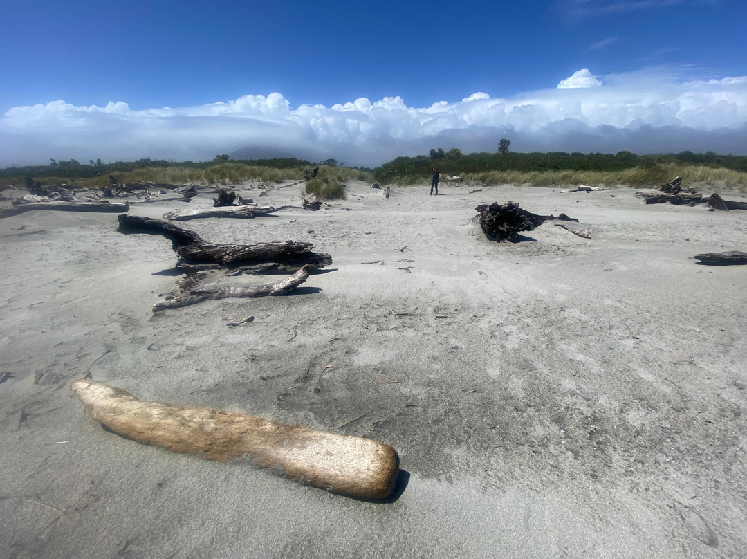 Haast Beach-Haast必去景点